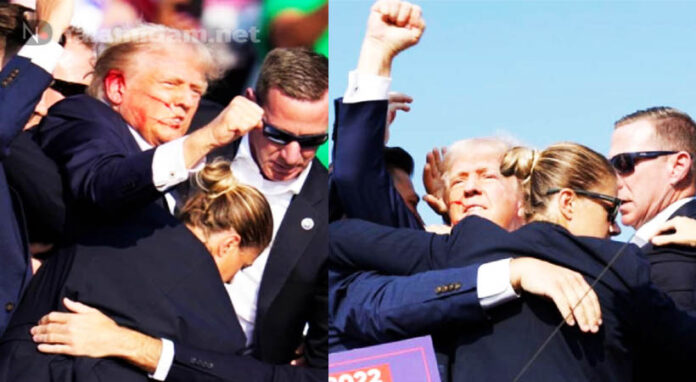 gun shoot for trump