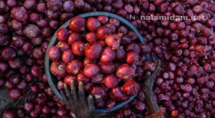 onion