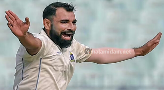 shami