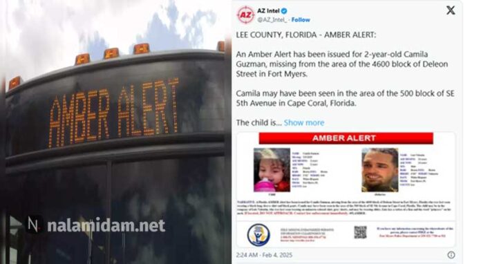 alert