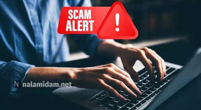scam