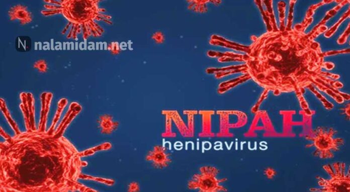 nipah