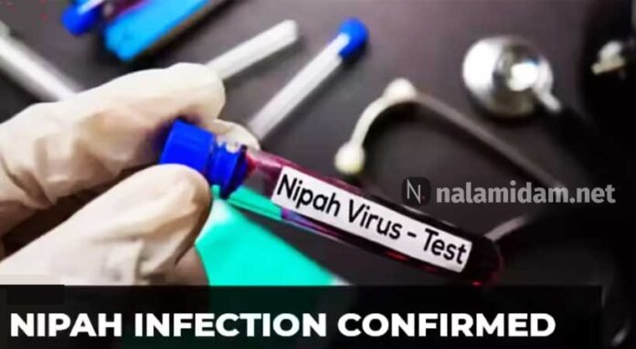 nipah1