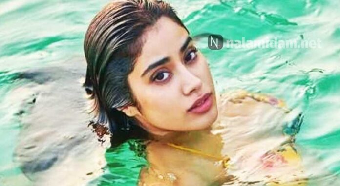 janvi