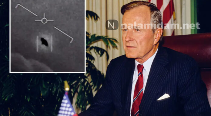bush