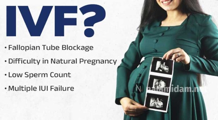 ivf