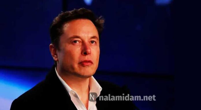 musk