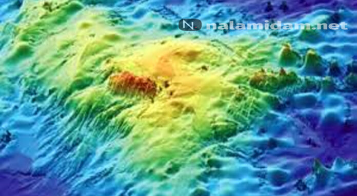 tamu massif