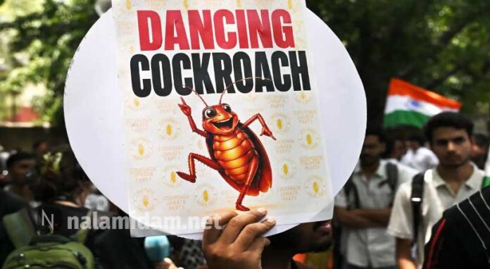 cocroch
